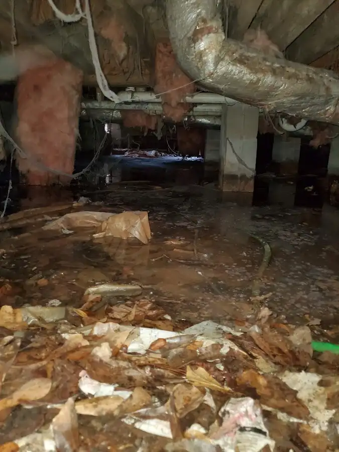Crawl space flood assessment for Leak Detection & Repair in Galax