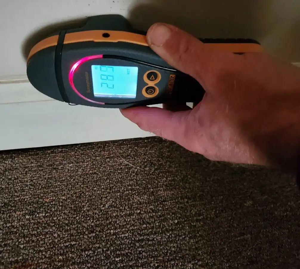 Moisture detection at baseboard during Sewage Cleanup & Sanitation in Galax
